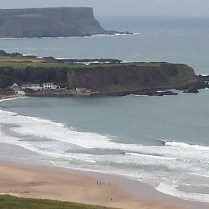 Meet your Posher, Rita